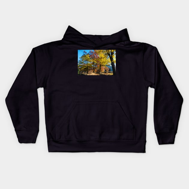 Central park in the fall Kids Hoodie by Itsgrimupnorth